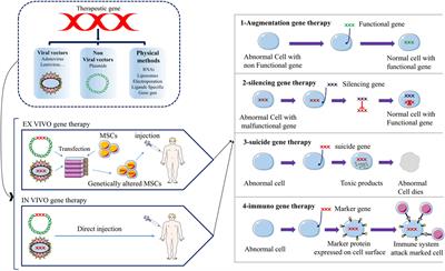 Tumor Suppressing Viruses, Genes, and Drugs: Innovative Cancer Therapy Approaches